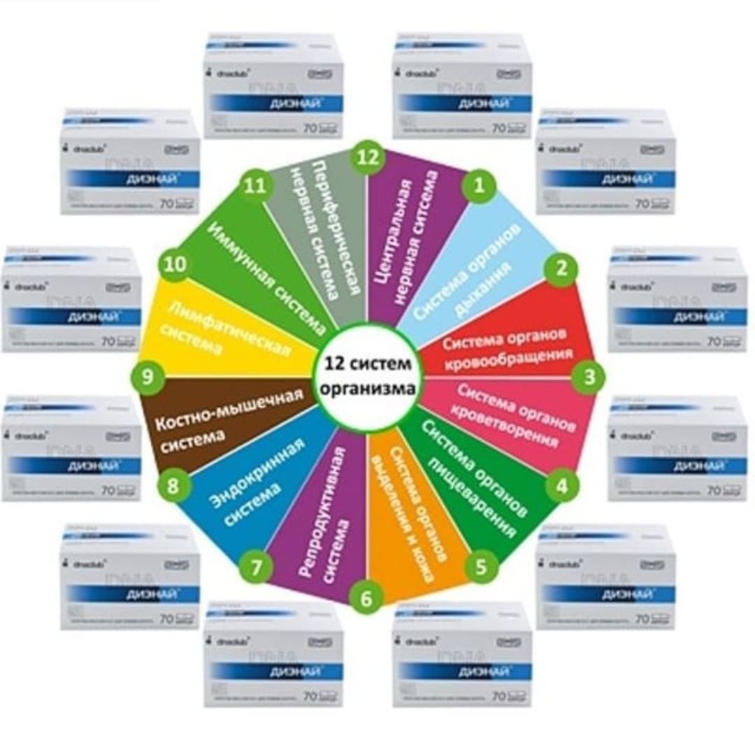 Система 12. 12 Систем. Круг 12 систем организма. Инновации и здоровье Новосибирск. Цвета для сайта + 2021 +инновации.